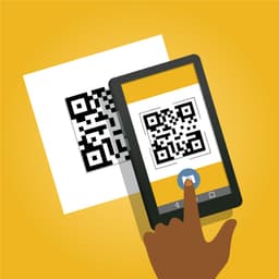 scan